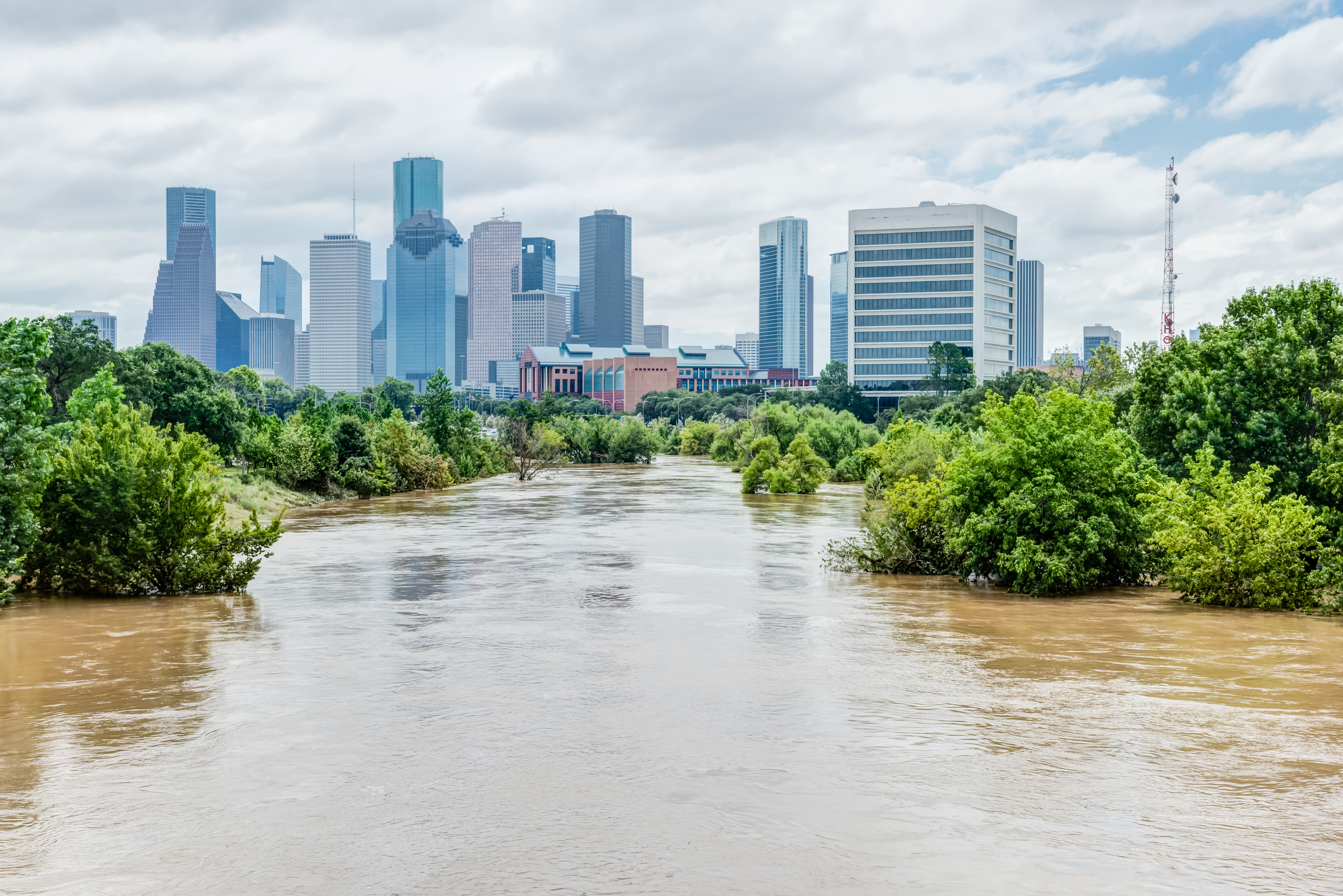 Commercial general liability policy